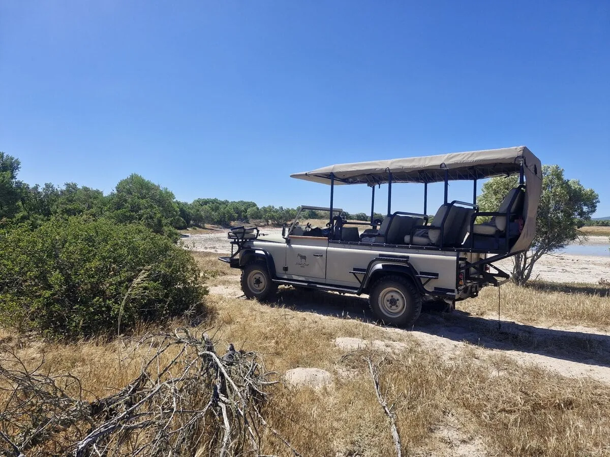 Cape Town safari experience at the West Coast Private Game Reserve