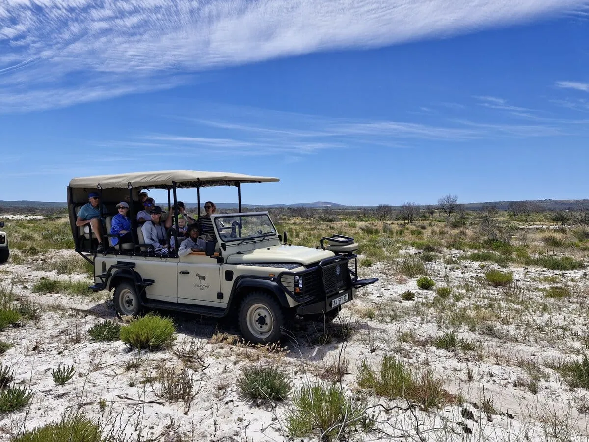 Guests in the open Land Rover on a game drive through the reserve