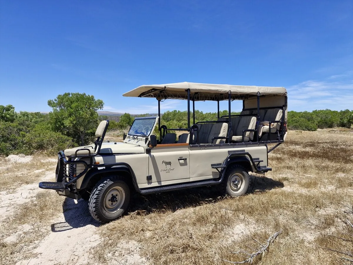 Safari game drives on the West Coast Private Game Reserve: the open nine-seater Land Rover in the fynbos