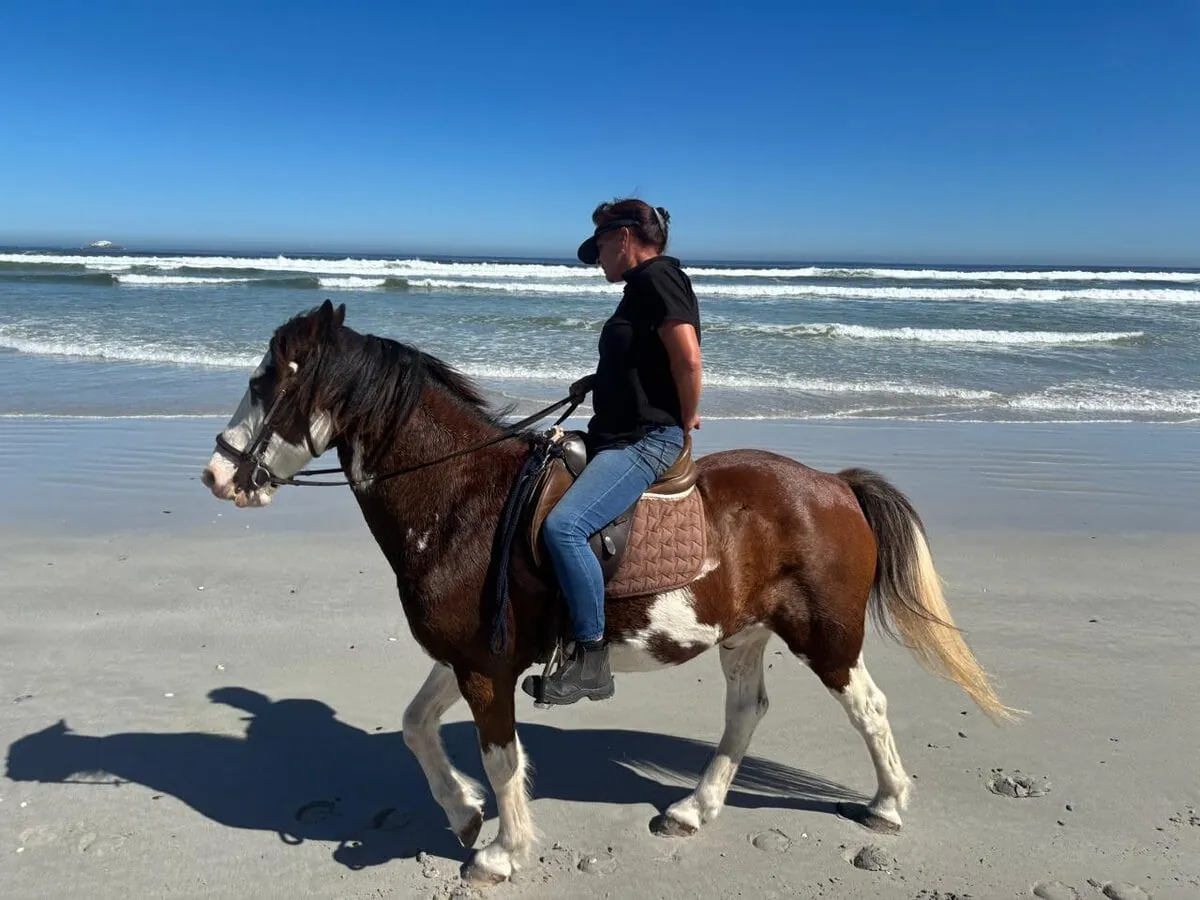 Horseback safaris near Cape Town: a rider on the beach at Yzerfontein